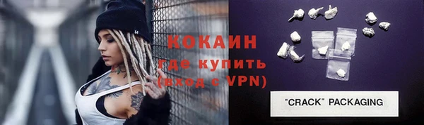 стаф Алзамай
