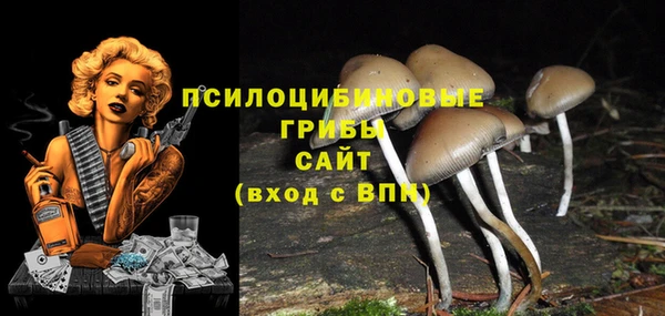 мефедрон Алексеевка