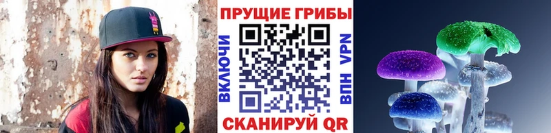 OMG ТОР  сколько стоит  Геленджик  Псилоцибиновые грибы Cubensis 