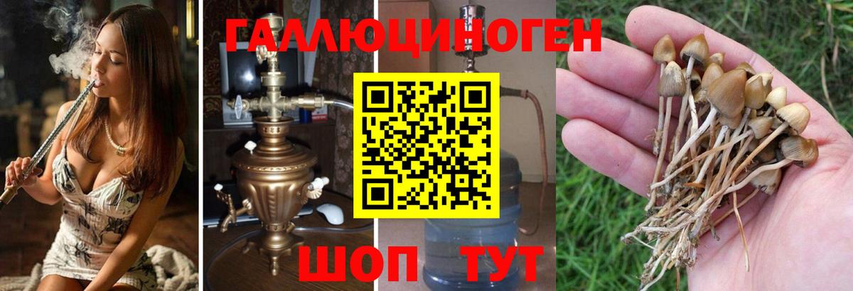 Галлюциногенные грибы ЛСД  Вход с VPN  Геленджик 