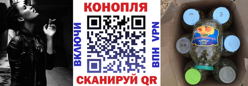 Марихуана Amnesia  где найти   Геленджик 